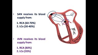 ECG course Bradyarrhythmias with ACS Dr Sherif Altoukhy [upl. by Faythe]