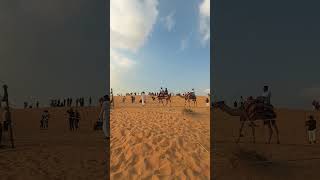 Camel Desert Safari Dubai viralvideo desert camels habibi [upl. by Avram]