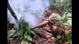 Mbuti Pygmies Song after collecting honey amp hunting song [upl. by Jerroll]