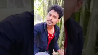 New viral song arthi Mora las ke singer a1ashmit [upl. by Zenda]