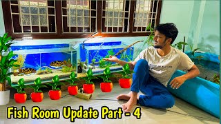 2nd Fish Room New Tank is ready  My Fish Room Update Part 4🔥  Backyard Guppy Fish Breeding [upl. by Renee508]