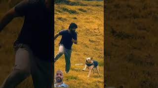 777 Charlie 777charlie dog doglover charliedits love charlieedits charliebgm [upl. by Filberte993]