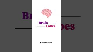 Brain Lobes  frontal parietal occipital  Bio Archives  Manan Sachdeva [upl. by Nadabb156]