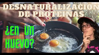 La desnaturalización de proteinas explicadas por un huevo HowToCookAnEggREMASTERED Chandamon Bacano [upl. by Foss]