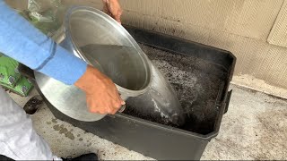 How I Sterilize Soil for Container Gardening [upl. by Atinniuq]