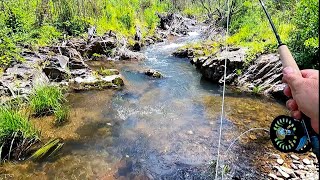 Fly fishing with a 6 foot 2wt fly rod [upl. by Gerger]