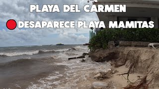 PLAYA DEL CARMEN SE ESTA QUEDANDO SIN PLAYA  12 JUNIO 2024 [upl. by Preuss]