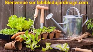 Calendrier COMPLET du potager du jardin et du verger [upl. by Moss]