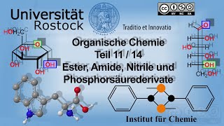 Einführung Organische Chemie Teil 11 Ester Amide Nitrile und Phosphorsäurederivate [upl. by Anelaf]