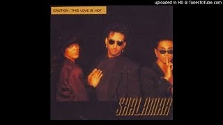 Shalamar  Caution This Love Is Hot1990 [upl. by Yadrahs941]