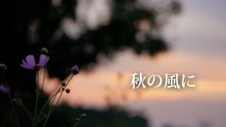 オリジナル曲「秋の風に」WILZOLA PROJECT [upl. by Aicirtac329]