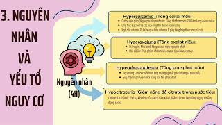 882024 Khánh Linh Y45 trình bày sỏi chủ mô thận Nephrocalcinosis [upl. by Purse]