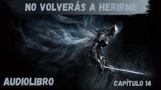 AUDIOLIBRO  NO VOLVERÁS A HERIRME CAPÍTULO 14 [upl. by Ettener257]