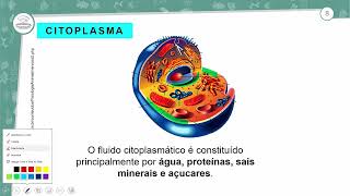 231  CITOPLASMA DAS CÉLULAS PROCARIONTES E EUCARIONTES  BIOLOGIA  1º ANO EM  AULA 2312024 [upl. by Ovid]