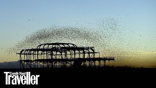 Starling murmuration in Brighton  Condé Nast Traveller [upl. by Hsenid745]