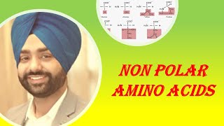 NON POLAR AMINO ACIDS [upl. by Aidnama]