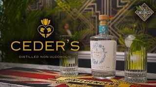 Ceders NonAlcoholic Gin Review  The Ginfluencerss UK [upl. by Alexia]