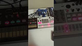 korg nts1 mk2 amp korg nts1 amp Volca fm2 amp Volca sample 2 [upl. by Dippold]