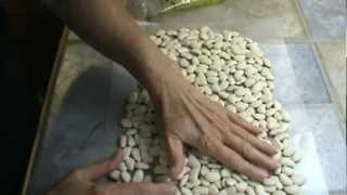 How to Cook Lima Beans [upl. by Kahn]