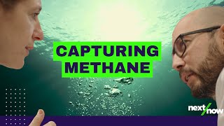 Capturing Methane Emissions From Water  Bluemethane [upl. by Hesler544]