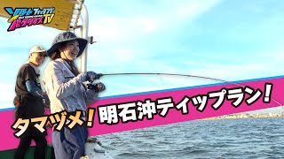 明石沖ティップラン後半戦！秋アオリ、夕マヅメの釣果は！？（ソルパラTV） [upl. by Youngman]