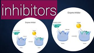 Inhibitors biology chapter 3 class11 [upl. by Fokos]