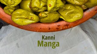 കണ്ണിമാങ്ങാ അച്ചാർ  Kannimanga Achar  Pickle Recipe  Sarang  Dakshina [upl. by Adelle]