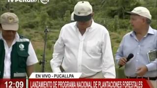 Presidente Kuczynski lanza Programa Nacional de Promoción de Plantaciones Forestales [upl. by Aikcin]