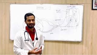 Fasciculations Fibrillations amp Myokymia Department of General Medicine DMIHER [upl. by Suiremed882]