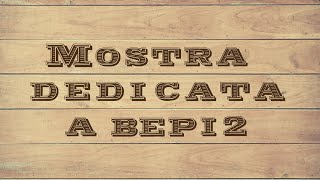 Mostra dedicata a Bepi2 [upl. by Nede]