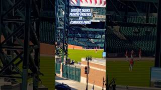 Detroit Tigers Playoff Practice at Comerica Park [upl. by Yssenhguahs]