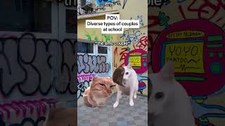 CAT MEMES 🐱Diverse types of couples at school catmemes relatable relationship [upl. by Llerrahs568]