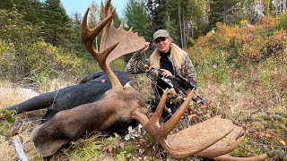 Giant Moose of a lifetime Northern Ontario [upl. by Khosrow]