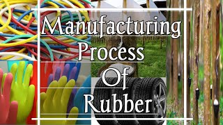 Rubber making process know about rubber production [upl. by Witt]