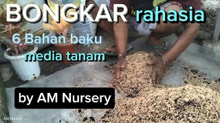 Proses pembuatan media tanam sederhana bikin aglaonema subur dan mudah beranak by Am Nursery [upl. by Sassan6]