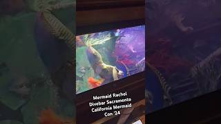 Mermaid in Fish Tank mermaidlife mermaid swim underwater summervibes california [upl. by Zerline224]