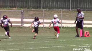 9 Year Old Quarterback Chad Warner Fall 16 Highlights [upl. by Aynor]