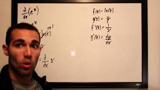 Derivative of ex Proof Using Implicit Differentiation [upl. by Ybbob531]