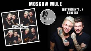 Moscow Mule by Benji amp Fede Instrumental Version KARAOKE [upl. by Tnemelc]