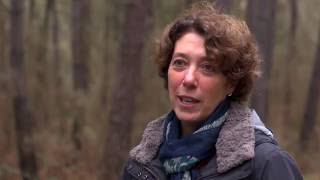 Anne propriétaire forestier en Gironde [upl. by Bili]