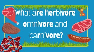 HERBIVORES  CARNIVORES amp OMNIVORES  TYPES OF ANIMALS  EATING HABITS OF ANIMALS [upl. by Yromem926]