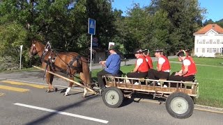 Alpabfahrt Urnäsch 1992015 [upl. by Ethbun606]