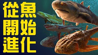 重磅發現！從魚開始進化到人類，演化的奧秘被首次正式揭開了？丨黑毛羊駝 [upl. by Gnuh]