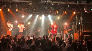 【LIVE】maegashira  YESTERDAY【20230716広島クラブクアトロ】 [upl. by Siaht]