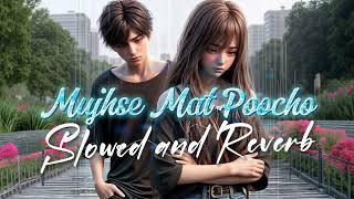 Mujhse Mat Poocho  Slowed  Reverb  New Hindi Song 2024  Lofi Song [upl. by Teiv]