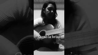 Como la brisa cover [upl. by Eseerehs]