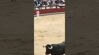 😮🏃🐂Impresionante lo que ha hecho Daganzo toros torosbravos recortes bull torobravo españa [upl. by Ireland221]