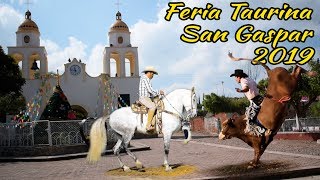 🎡🐎🐂 Feria Taurina San Gaspar 2019 CABALLOS BAILADORES Y JARIPEO DE TOROS [upl. by Nalorac]