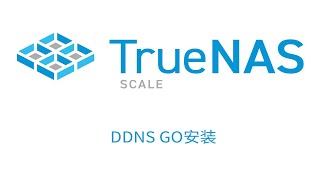 TrueNAS SCALE 自定义安装DDNSGO，动态域名解析 [upl. by Saloma76]