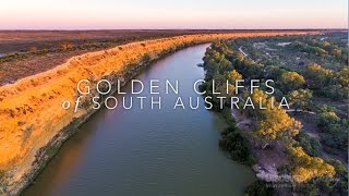 Murray River Bird aerial video  Golden Cliffs of South Australia  Discover Murray River [upl. by Dougall225]